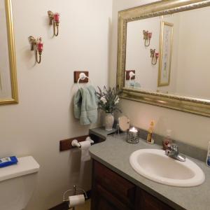 Photo #35 of 320 Ruth Drive, Madison Heights, VA 5.5 acres