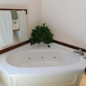 Photo #40 of 320 Ruth Drive, Madison Heights, VA 5.5 acres