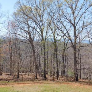 Photo #13 of 320 Ruth Drive, Madison Heights, VA 5.5 acres