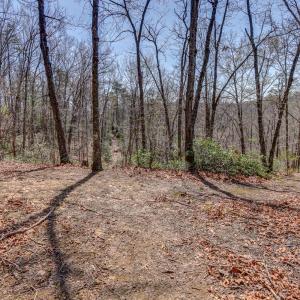 Photo #47 of 384 McNeish Lane, Gladstone, VA 24.5 acres