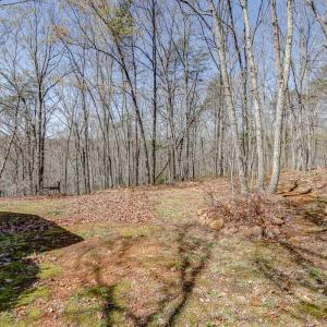 Photo #55 of 384 McNeish Lane, Gladstone, VA 24.5 acres