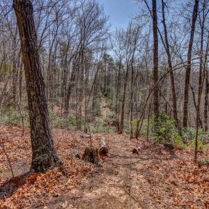 Photo #46 of 384 McNeish Lane, Gladstone, VA 24.5 acres