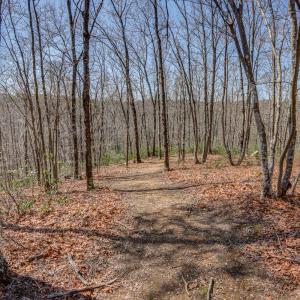 Photo #47 of 384 McNeish Lane, Gladstone, VA 24.5 acres