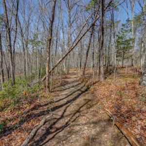 Photo #46 of 384 McNeish Lane, Gladstone, VA 24.5 acres