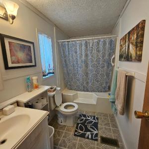 Photo #8 of 413 Plum Branch Road, Lynchburg, VA 2.5 acres