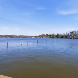 Photo #52 of 74 Locust Drive, Louisa, VA 0.2 acres