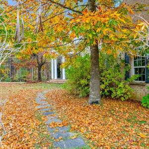 Photo #54 of 574 Old Kings Road, Drakes Branch, VA 105.3 acres