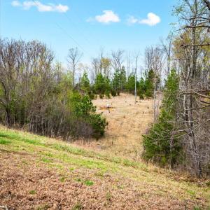 Photo #59 of 2309 Mount Pleasant Rd, Pamplin, VA 16.2 acres