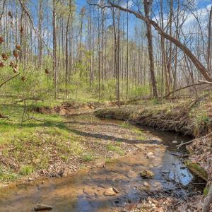 Photo #40 of 105 Cherokee Lane, Thaxton, VA 1.9 acres