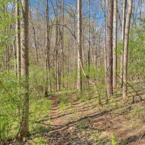 Photo #37 of 105 Cherokee Lane, Thaxton, VA 1.9 acres