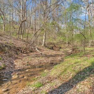 Photo #38 of 105 Cherokee Lane, Thaxton, VA 1.9 acres