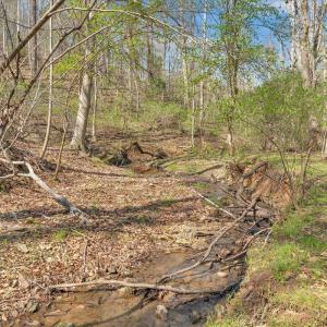 Photo #39 of 105 Cherokee Lane, Thaxton, VA 1.9 acres