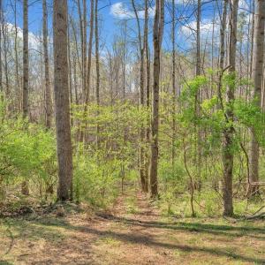 Photo #31 of 105 Cherokee Lane, Thaxton, VA 1.9 acres