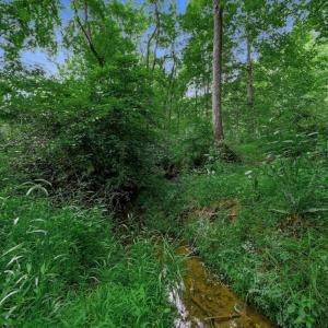 Photo #43 of 2021 Diamond Hill Rd, Moneta, VA 7.7 acres