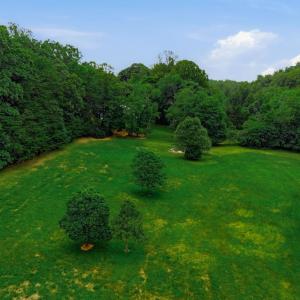 Photo #53 of 2021 Diamond Hill Rd, Moneta, VA 7.7 acres