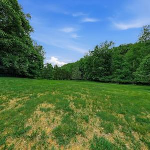 Photo #45 of 2021 Diamond Hill Rd, Moneta, VA 7.7 acres