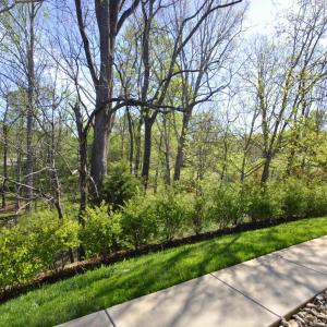 Photo #3 of 1084 Tori Court, Forest, VA 0.1 acres