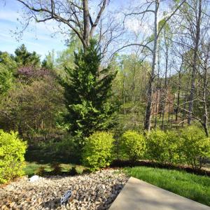 Photo #4 of 1084 Tori Court, Forest, VA 0.1 acres