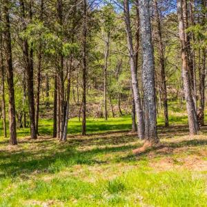 Photo #55 of 4442 Goode Road, Goode, VA 1.3 acres