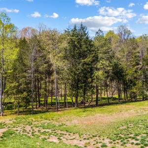 Photo #8 of 4442 Goode Road, Goode, VA 1.3 acres