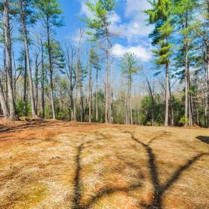 Photo #50 of 116 Blue Sky Court, Monroe, VA 2.1 acres