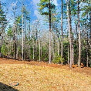 Photo #48 of 116 Blue Sky Court, Monroe, VA 2.1 acres
