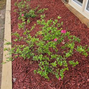 Photo #9 of 18 Valleywood Drive, Forest, VA 1.5 acres