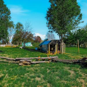 Photo #55 of 1175 Davis Mill Lane, Bedford, VA 9.2 acres