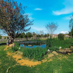 Photo #41 of 1175 Davis Mill Lane, Bedford, VA 9.2 acres