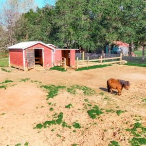 Photo #82 of 1175 Davis Mill Lane, Bedford, VA 9.2 acres