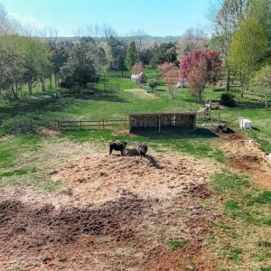 Photo #76 of 1175 Davis Mill Lane, Bedford, VA 9.2 acres