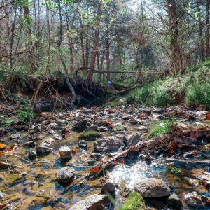 Photo #70 of 1175 Davis Mill Lane, Bedford, VA 9.2 acres