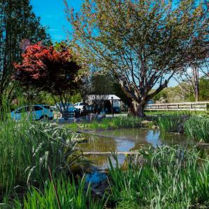 Photo #47 of 1175 Davis Mill Lane, Bedford, VA 9.2 acres