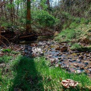 Photo #69 of 1175 Davis Mill Lane, Bedford, VA 9.2 acres