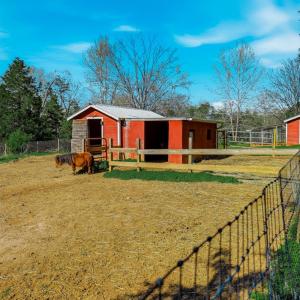 Photo #58 of 1175 Davis Mill Lane, Bedford, VA 9.2 acres