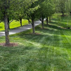 Photo #56 of 5323 Crossbow Drive, Pulaski, VA 1.3 acres