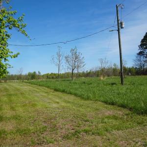Photo #46 of 10188 Stage Coach Road, Gretna, VA 2.9 acres