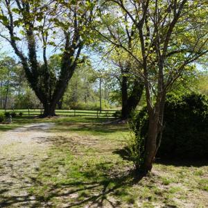 Photo #47 of 10188 Stage Coach Road, Gretna, VA 2.9 acres