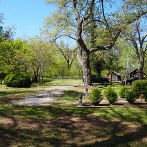 Photo #53 of 10188 Stage Coach Road, Gretna, VA 2.9 acres