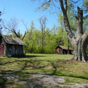 Photo #51 of 10188 Stage Coach Road, Gretna, VA 2.9 acres