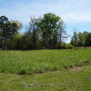 Photo #52 of 10188 Stage Coach Road, Gretna, VA 2.9 acres