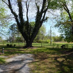 Photo #56 of 10188 Stage Coach Road, Gretna, VA 2.9 acres
