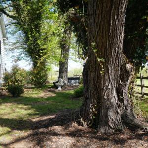 Photo #44 of 10188 Stage Coach Road, Gretna, VA 2.9 acres