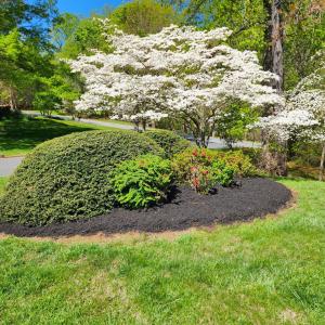 Photo #86 of 100 Jameson Court, Lynchburg, VA 1.6 acres