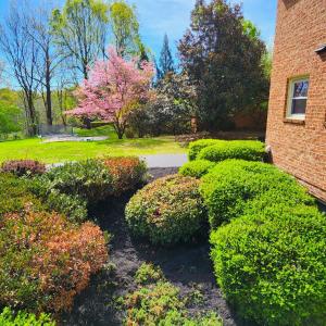 Photo #77 of 100 Jameson Court, Lynchburg, VA 1.6 acres