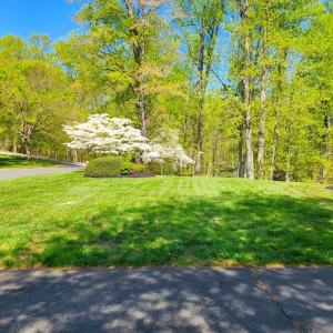 Photo #85 of 100 Jameson Court, Lynchburg, VA 1.6 acres