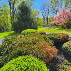 Photo #76 of 100 Jameson Court, Lynchburg, VA 1.6 acres