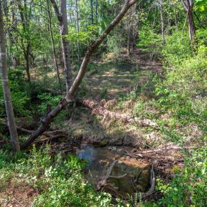 Photo #44 of 205 Bonterra Place, Lynchburg, VA 0.2 acres