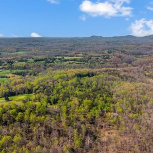 Photo #36 of 331 Johnson Drive, Amherst, VA 77.1 acres