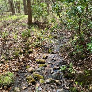 Photo #54 of 298 Braxton Ridge Rd, Amherst, VA 47.3 acres